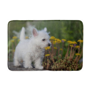 Kutest Baby Animals   West Highland White Terrier Badmat