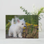 Kutest Baby Animals | West Highland White Terrier Bedankkaart (Staand voorkant)