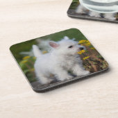 Kutest Baby Animals | West Highland White Terrier Bier Onderzetter (Linkerzijde)