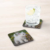 Kutest Baby Animals | West Highland White Terrier Bier Onderzetter (Rechterzijde)