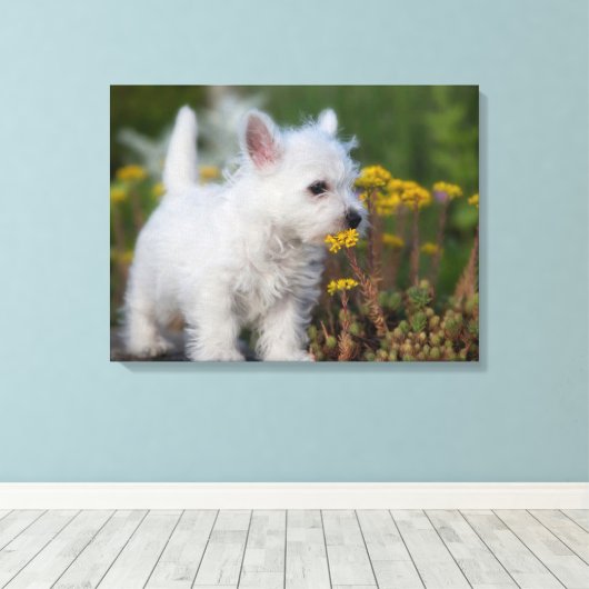 Kutest Baby Animals | West Highland White Terrier Canvas Afdruk (Insitu (Houten vloer))
