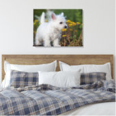 Kutest Baby Animals | West Highland White Terrier Canvas Afdruk (Insitu (Slaapkamer))