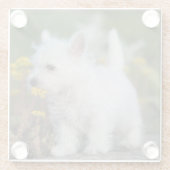 Kutest Baby Animals | West Highland White Terrier Glazen Onderzetter (Achterkant)