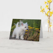 Kutest Baby Animals | West Highland White Terrier Kaart (Gele Bloem)