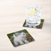 Kutest Baby Animals | West Highland White Terrier Kartonnen Onderzetters (Insitu)
