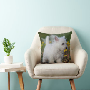 Kutest Baby Animals West Highland White Terrier Kussen