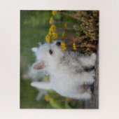 Kutest Baby Animals | West Highland White Terrier Legpuzzel (Verticaal)