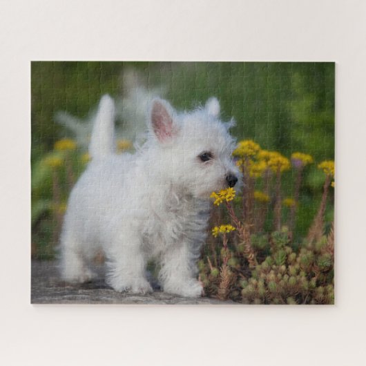 Kutest Baby Animals | West Highland White Terrier Legpuzzel (Horizontaal)