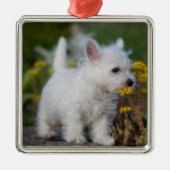 Kutest Baby Animals | West Highland White Terrier Metalen Ornament (Voorkant)