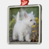 Kutest Baby Animals | West Highland White Terrier Metalen Ornament (Links)