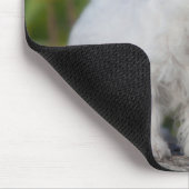 Kutest Baby Animals | West Highland White Terrier Muismat (Hoek)