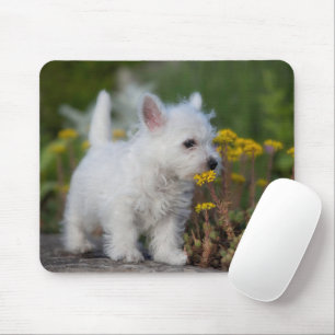 Kutest Baby Animals   West Highland White Terrier Muismat
