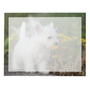 Kutest Baby Animals West Highland White Terrier Notitieblok