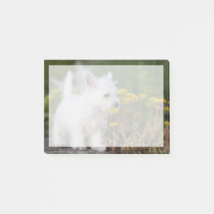 Kutest Baby Animals   West Highland White Terrier Post-it® Notes