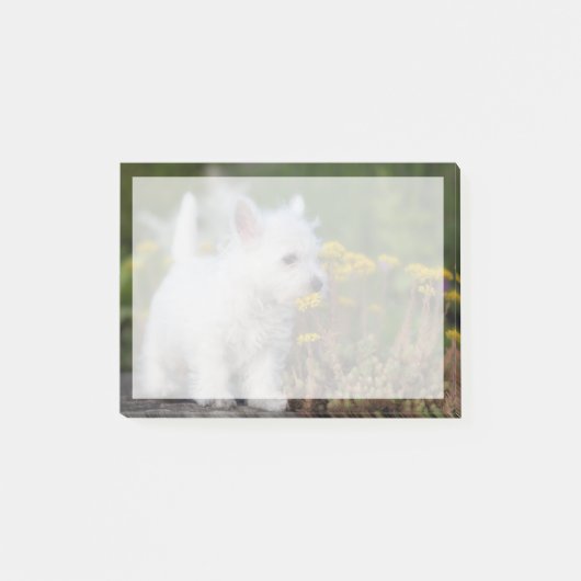 Kutest Baby Animals | West Highland White Terrier Post-it® Notes (Voorkant)