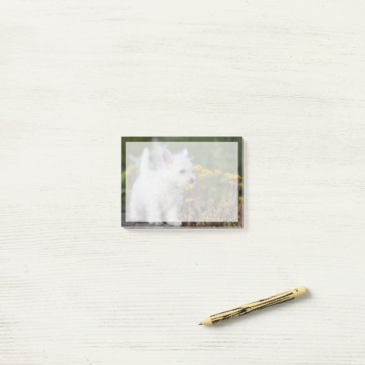 Kutest Baby Animals | West Highland White Terrier Post-it® Notes (Op bureau)