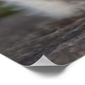 Kutest Baby Animals | West Highland White Terrier Poster (Hoek)