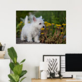 Kutest Baby Animals | West Highland White Terrier Poster (Thuiskantoor)