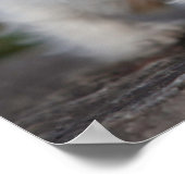 Kutest Baby Animals | West Highland White Terrier Poster (Hoek)