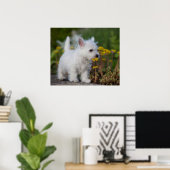 Kutest Baby Animals | West Highland White Terrier Poster (Thuiskantoor)