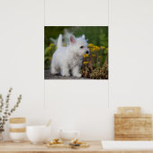 Kutest Baby Animals | West Highland White Terrier Poster (Keuken)