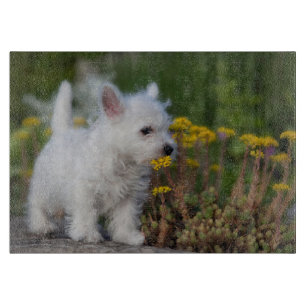 Kutest Baby Animals West Highland White Terrier Snijplank