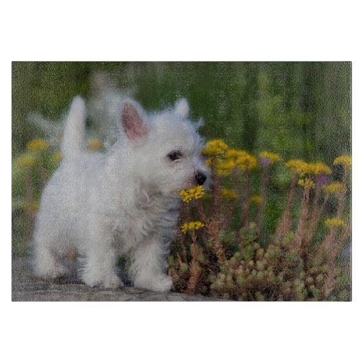 Kutest Baby Animals | West Highland White Terrier Snijplank (Voorkant)