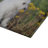 Kutest Baby Animals | West Highland White Terrier Snijplank (Hoek)