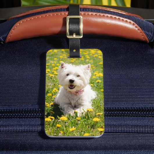 Kutest Baby Animals | Westie Dog in Dandelions Bagagelabel (Voorkant Insitu 2)
