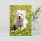 Kutest Baby Animals | Westie Dog in Dandelions Bedankkaart (Staand voorkant)