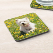 Kutest Baby Animals | Westie Dog in Dandelions Bier Onderzetter (Linkerzijde)