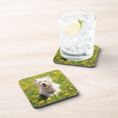 Kutest Baby Animals | Westie Dog in Dandelions Bier Onderzetter (Rechterzijde)