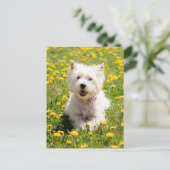 Kutest Baby Animals | Westie Dog in Dandelions Briefkaart (Staand voorkant)