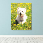 Kutest Baby Animals | Westie Dog in Dandelions Canvas Afdruk (Insitu (Houten vloer))