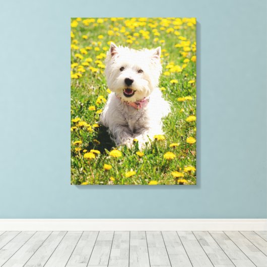 Kutest Baby Animals | Westie Dog in Dandelions Canvas Afdruk (Insitu (Houten vloer))