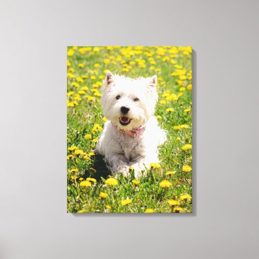 Kutest Baby Animals | Westie Dog in Dandelions Canvas Afdruk (Voorkant)