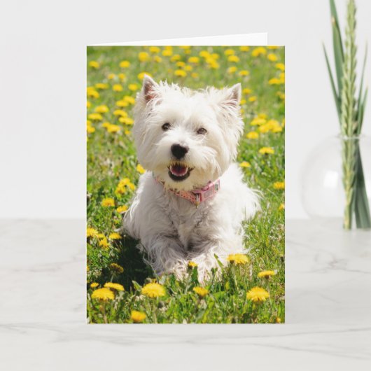 Kutest Baby Animals | Westie Dog in Dandelions Kaart (Voorkant)