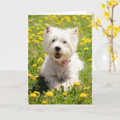 Kutest Baby Animals | Westie Dog in Dandelions Kaart (Gele Bloem)