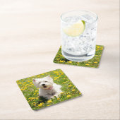 Kutest Baby Animals | Westie Dog in Dandelions Kartonnen Onderzetters (Insitu)