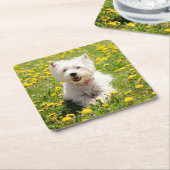 Kutest Baby Animals | Westie Dog in Dandelions Kartonnen Onderzetters (Schuin)