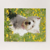 Kutest Baby Animals | Westie Dog in Dandelions Legpuzzel (Horizontaal)