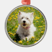 Kutest Baby Animals | Westie Dog in Dandelions Metalen Ornament (Voorkant)