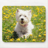 Kutest Baby Animals | Westie Dog in Dandelions Muismat (Voorkant)