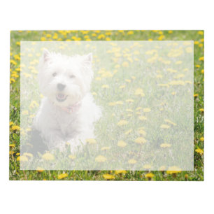 Kutest Baby Animals   Westie Dog in Dandelions Notitieblok