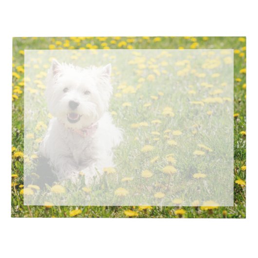 Kutest Baby Animals | Westie Dog in Dandelions Notitieblok (Voorkant)