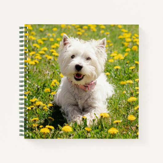 Kutest Baby Animals | Westie Dog in Dandelions Notitieboek (Voorkant)