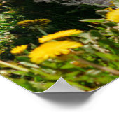 Kutest Baby Animals | Westie Dog in Dandelions Poster (Hoek)