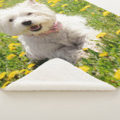 Kutest Baby Animals | Westie Dog in Dandelions Sherpa Deken (3/4)