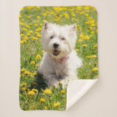 Kutest Baby Animals | Westie Dog in Dandelions Sherpa Deken (Voorkant)