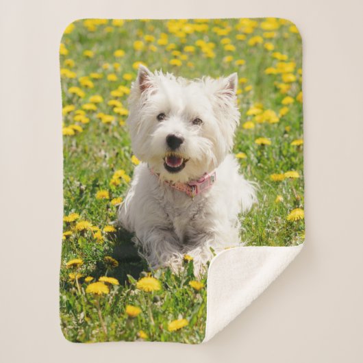 Kutest Baby Animals | Westie Dog in Dandelions Sherpa Deken (Voorkant)